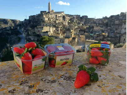 Fragola Matera, l'essenza della Basilicata in un brand